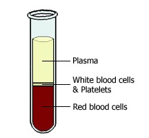 Looking for Experts on Whole Blood Separation