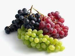 Searching innovative solutions to add/mantain color in table grapes